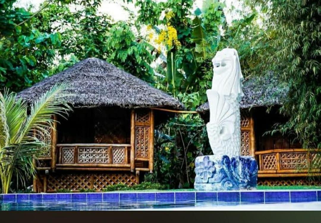 Banlaw Garden Resort Puerto Princesa Buitenkant foto